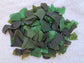 10 Pounds of Sea Glass - Green Bottle Glass